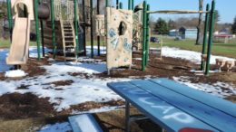 Local youth inspired to clean up vandalized park 