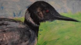 Local Flyers: A Solo Exhibition by Rod Reynolds 