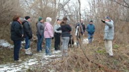 Wetlands and Woodland Hike at Greenway