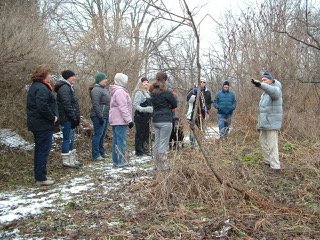 Wetlands and Woodland Hike at Greenway