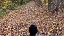 In case you missed it!