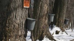 Join CCE for a Sweet Time!