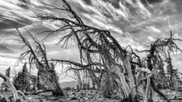 Nature the focus of Waterman’s recent photography competition; winners announced