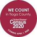 This is a great time to complete the 2020 Census Form online 