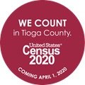 This is a great time to complete the 2020 Census Form online