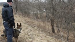 Missing woman found deceased along Apalachin highway