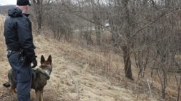 Police continue to search for missing woman