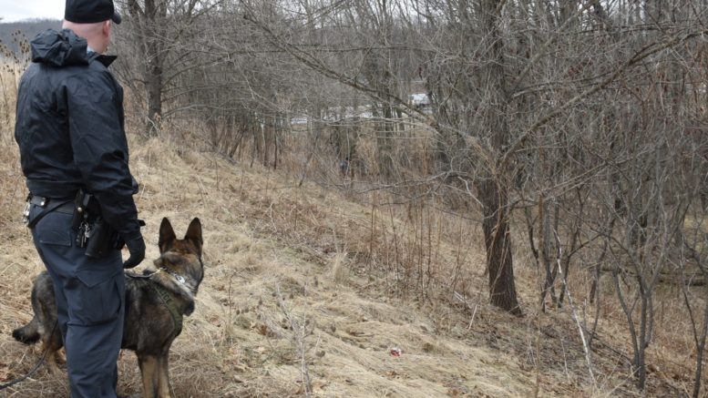 Police continue to search for missing woman