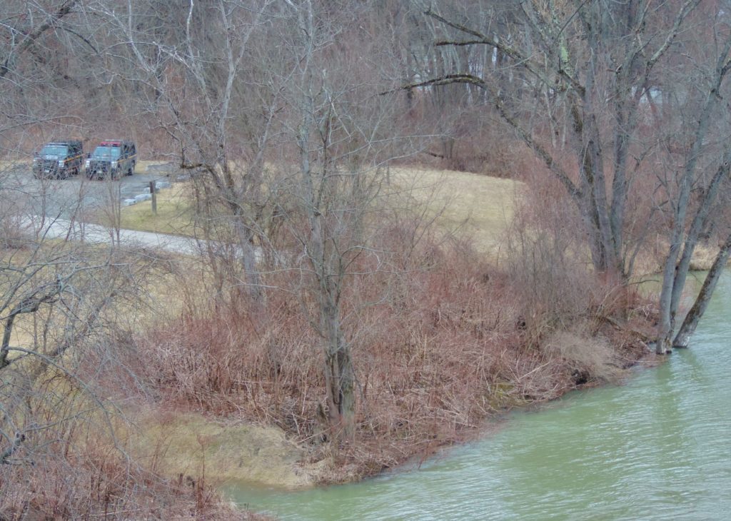 Police continue to search for missing woman