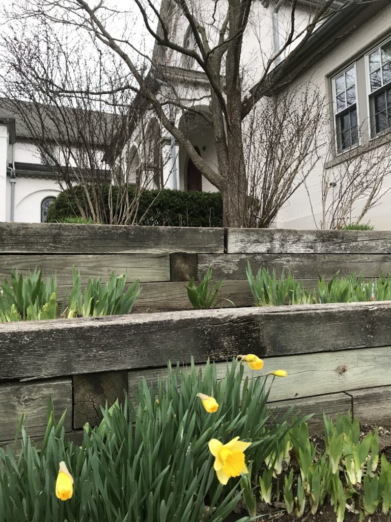 First Presbyterian Union Church goes online for Easter Worship