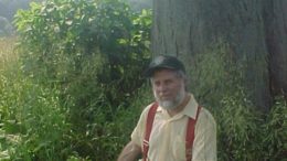 Old tree stands tall on Earth Day