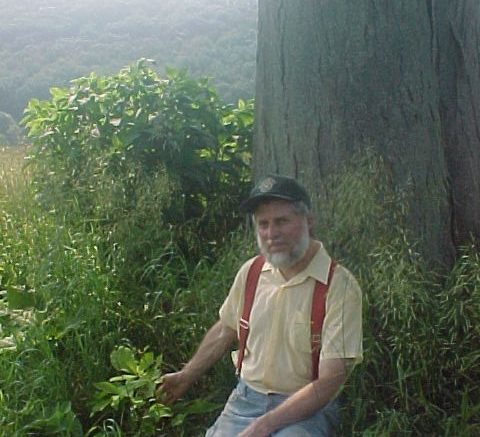 Old tree stands tall on Earth Day