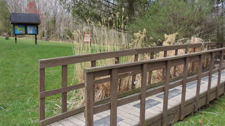 Hike for your health