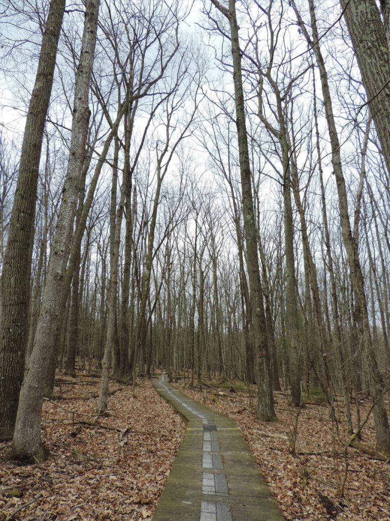 Hike for your health