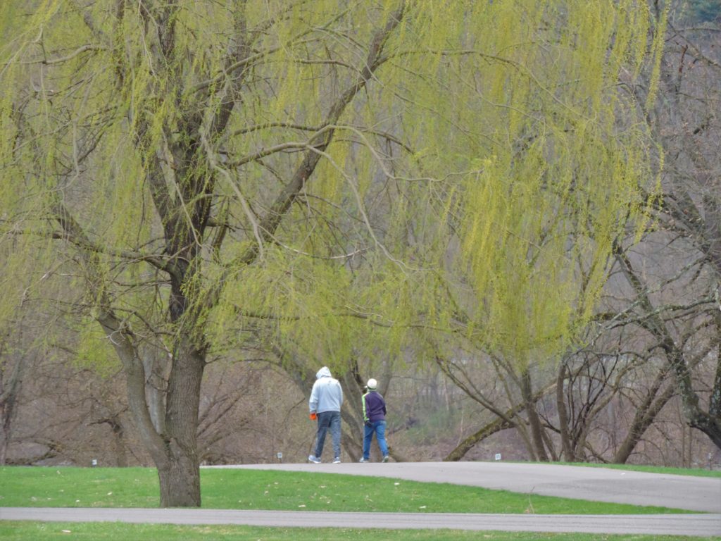 Hike for your health