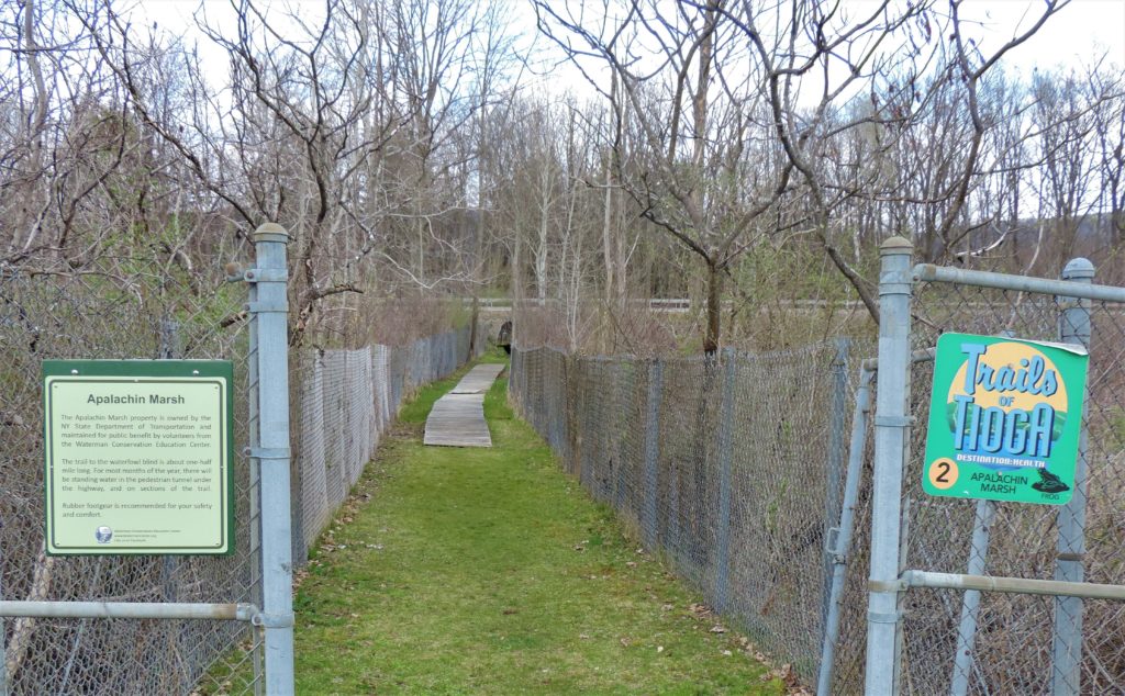 Hike for your health