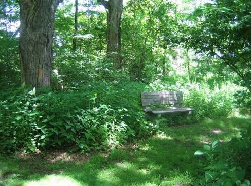 Hike for your health