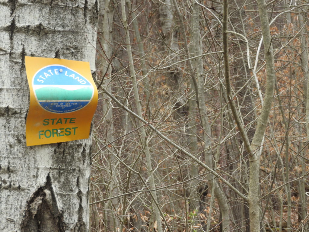 Hike for your health