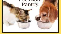 Feeding our furry friends during the pandemic