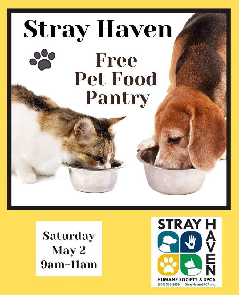 stray haven spca