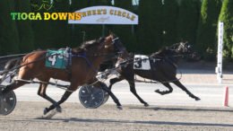 Tioga Downs opens for Harness Racing