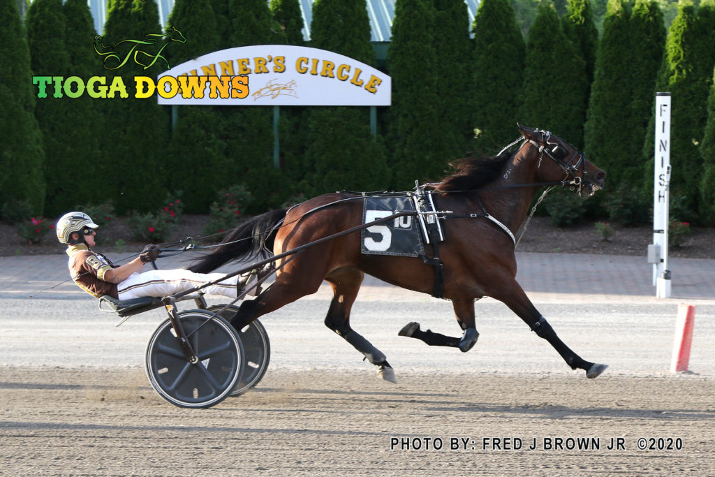 Tioga Downs opens for Harness Racing Owego Pennysaver Press