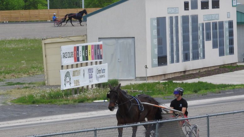 Live harness racing to commence at Tioga and Vernon Downs