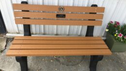 A Lions’ Lion – Lion Kostonty ‘Ted’ Andrews