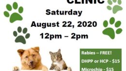 Stray Haven and Tioga County Health Department to offer free rabies clinic
