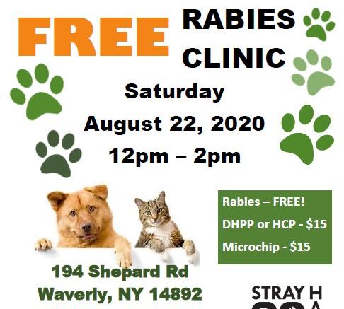 Stray Haven and Tioga County Health Department to offer free rabies clinic
