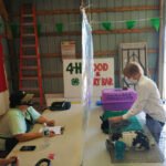 Tioga County 4-H Youth thrive during uncertain times 