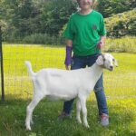 Tioga County 4-H Youth thrive during uncertain times 