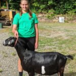 Tioga County 4-H Youth thrive during uncertain times 