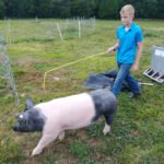 Tioga County 4-H Youth thrive during uncertain times 