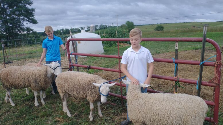 Tioga County 4-H Youth thrive during uncertain times 