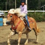 Tioga County 4-H Youth thrive during uncertain times 