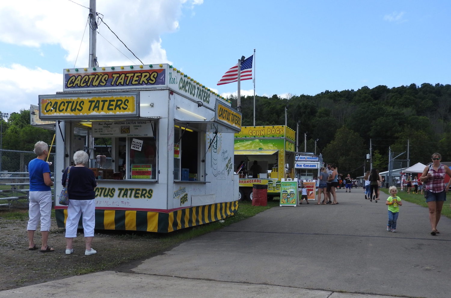 A taste of the County Fair Owego Pennysaver Press