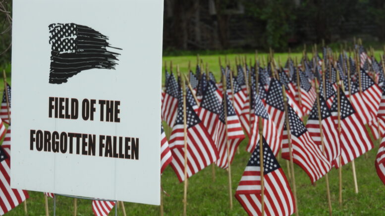 Tioga County pays homage through ‘Field of Forgotten Fallen’ display