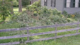 A Close Call for the Farmstead