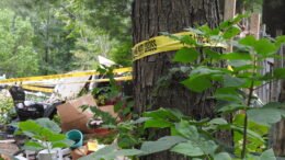 Family of ten loses all to fire