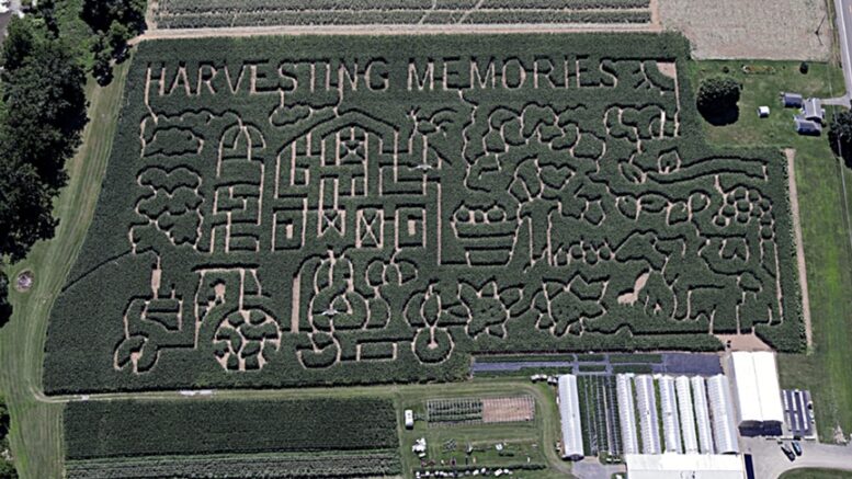 Stoughton’s famous corn maze to open for 16th season