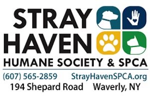 Stray Haven to participate in Best Friend Animal Society’s ‘Strut Your Mutt Day’