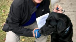 Blessing of the Animals taking place Sunday in Owego