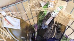 Gallery Forty-One announces their November Member of the Month