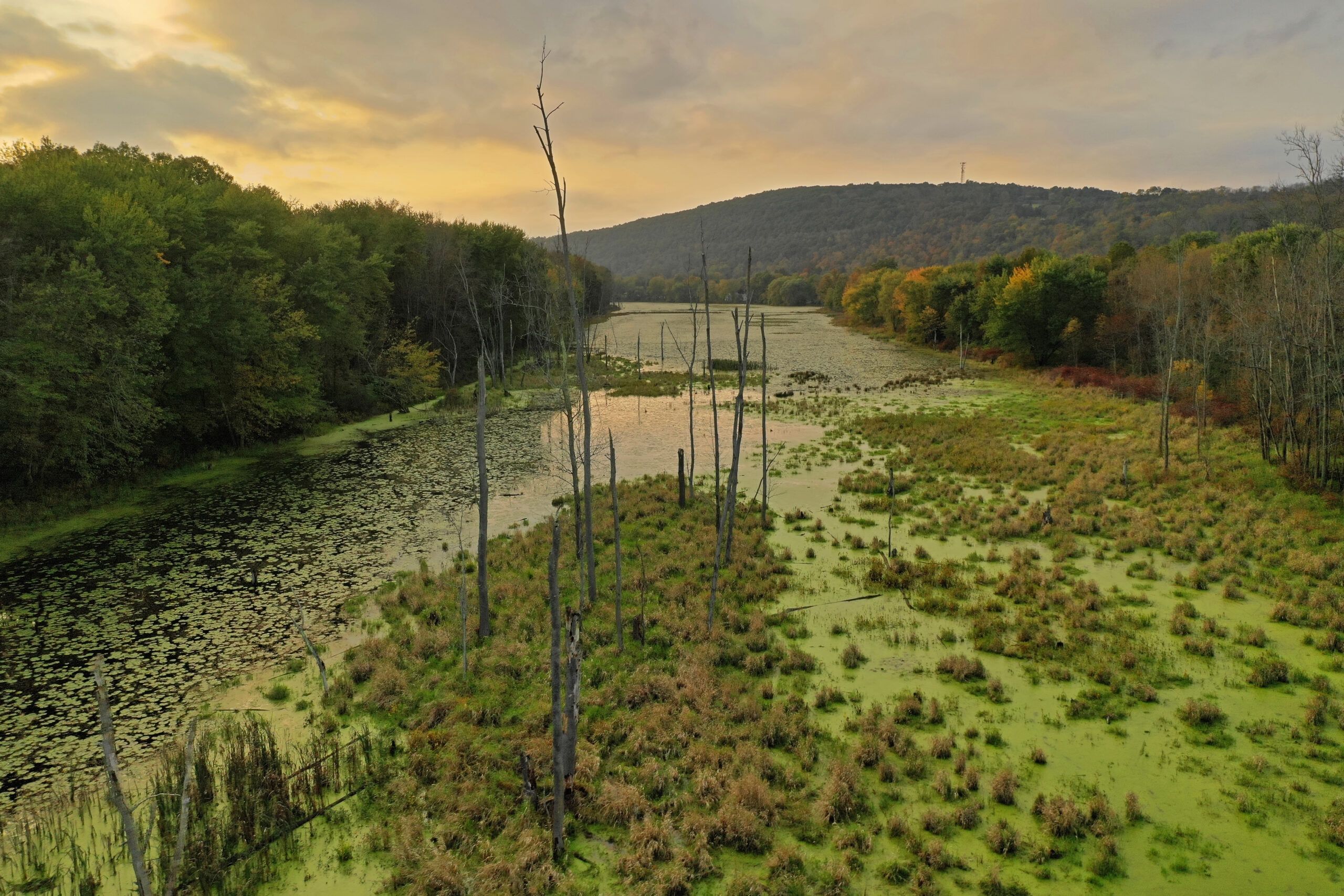 Gallery Forty-One to feature drone photography exhibit