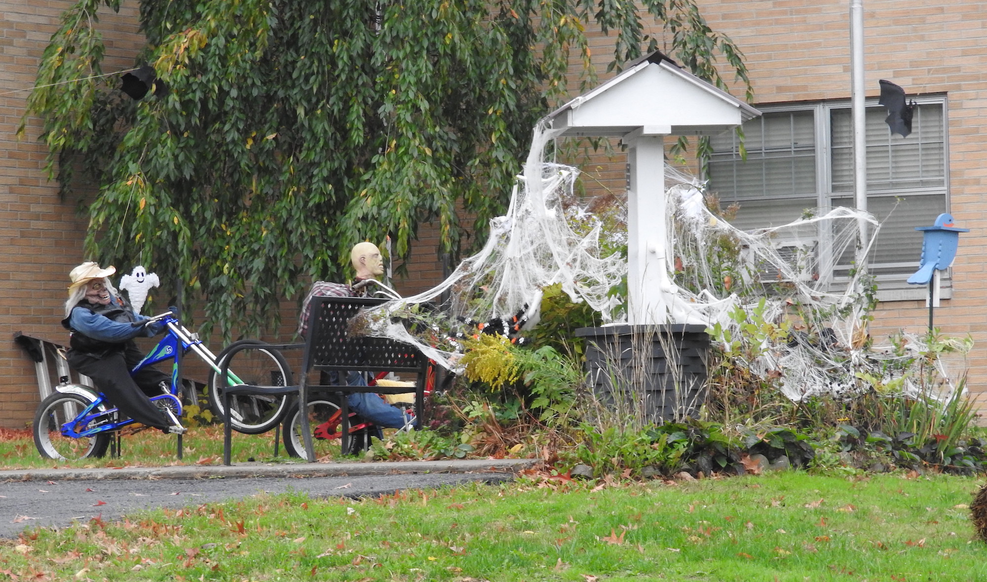 Trick or Treating taking place in Owego