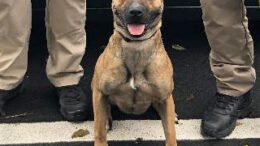 OPD announces newest member to the force!