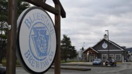 Bluestone Brewing Company