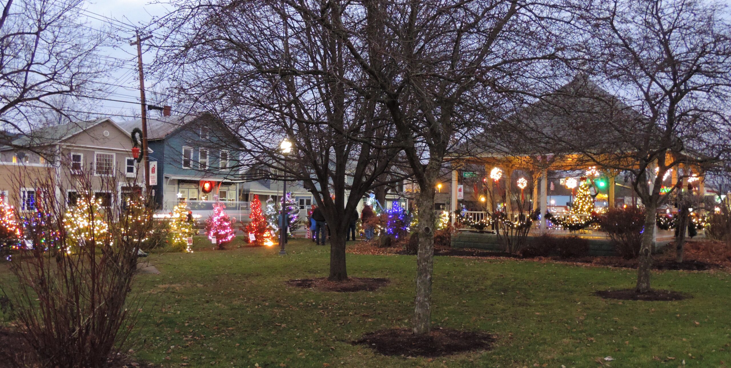 Newark Valley lights up the green! Owego Pennysaver Press