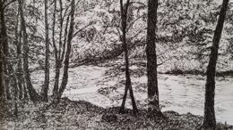 Gallery Forty-One announces artist for the month of March